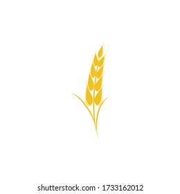 Wheat Logo Template vector symbol nature