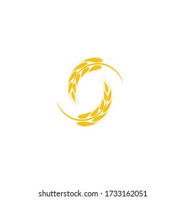 Wheat Logo Template vector symbol nature