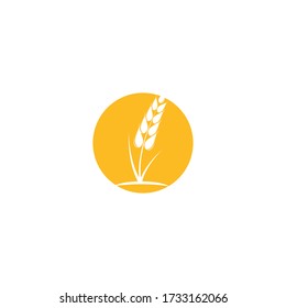 Wheat Logo Template vector symbol nature