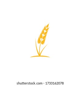 Wheat Logo Template vector symbol nature