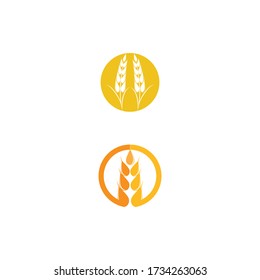 Carácter del símbolo vectorial de la plantilla de logotipo de trigo