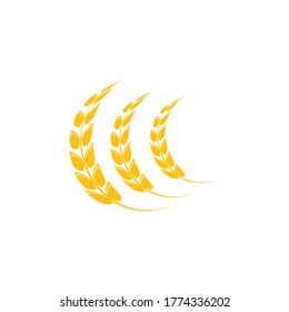 Wheat Logo Template vector symbol nature