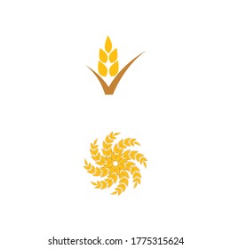 Wheat Logo Template vector symbol nature