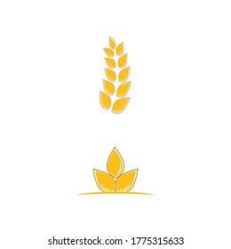Wheat Logo Template vector symbol nature