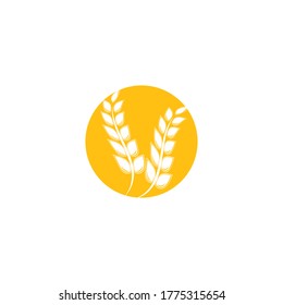 Wheat Logo Template vector symbol nature