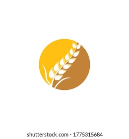 Wheat Logo Template vector symbol nature