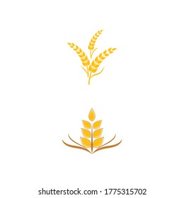 Wheat Logo Template vector symbol nature