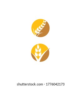 Wheat Logo Template vector symbol nature