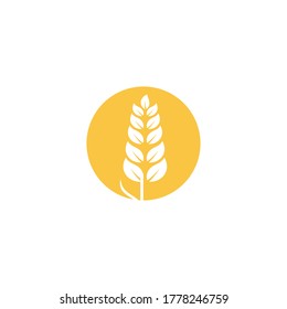 Wheat Logo Template vector symbol nature