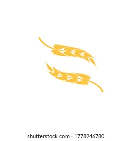 Wheat Logo Template vector symbol nature