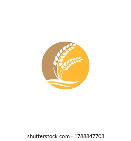 Wheat Logo Template vector symbol nature