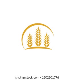 Wheat Logo Template vector symbol nature