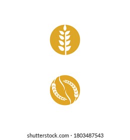 Wheat Logo Template vector symbol nature