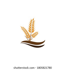 Wheat Logo Template vector symbol nature