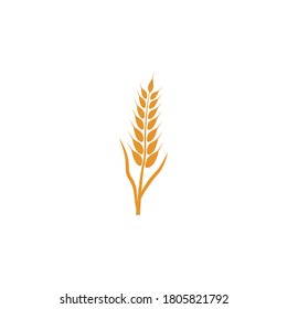 Vorlage für Weizen-Logo, Vektorsymbol