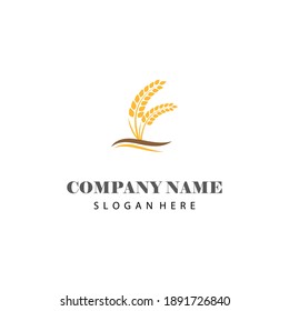 Wheat Logo Template vector symbol nature