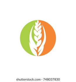 Wheat Logo Vector