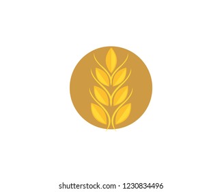 wheat logo vector business brand