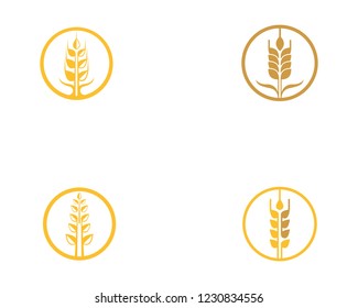 wheat logo vector business brand