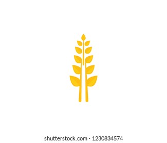 wheat logo vector business brand