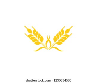wheat logo vector business brand