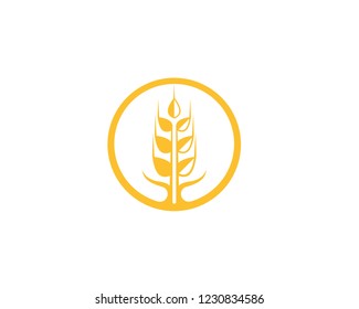 wheat logo vector business brand