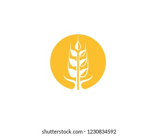wheat logo vector business brand