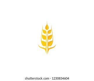 wheat logo vector business brand