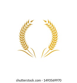 Wheat logo vector icon illustration design