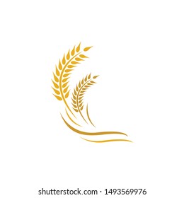 Wheat logo vector icon illustration design