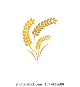 Wheat logo vector icon illustration design