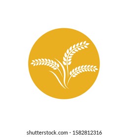 Wheat logo vector icon illustration design