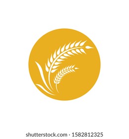 Wheat logo vector icon illustration design