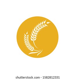 Wheat logo vector icon illustration design