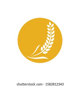 Wheat logo vector icon illustration design