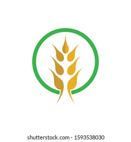 Wheat logo vector icon illustration design