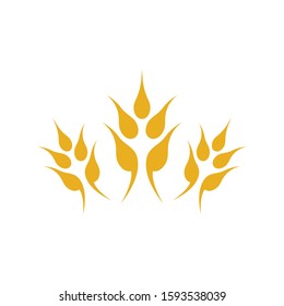 Wheat logo vector icon illustration design