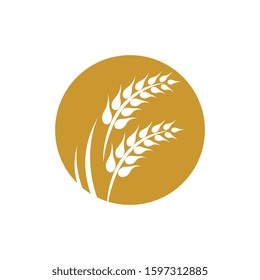 Wheat logo vector icon illustration design
