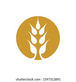 Wheat logo vector icon illustration design