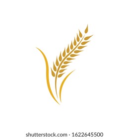 Wheat logo vector icon illustration design