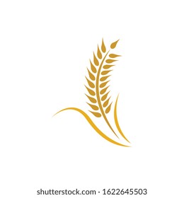 Wheat logo vector icon illustration design