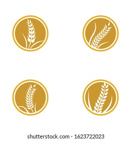 Wheat logo vector icon illustration design