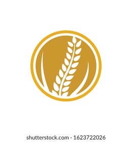 Wheat logo vector icon illustration design