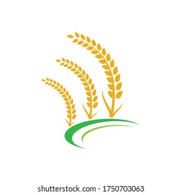 Wheat logo vector icon illustration design