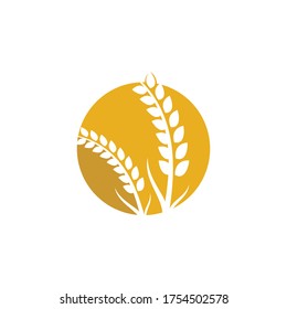 Wheat logo vector icon illustration design