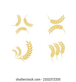 Wheat logo vector icon illustration design