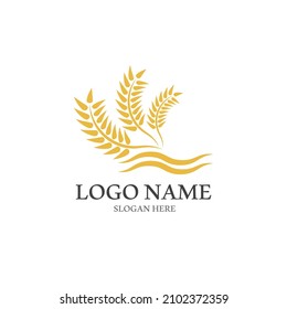 Wheat logo vector icon illustration design