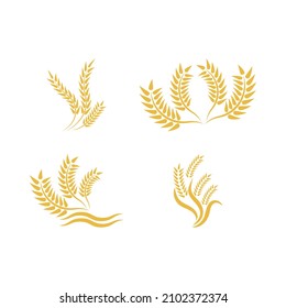 Wheat logo vector icon illustration design