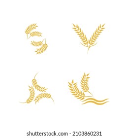 Wheat logo vector icon illustration design