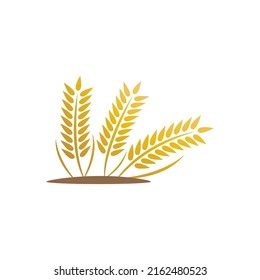 Wheat logo vector icon illustration design